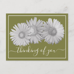 Gerbera Daisies Green Background Thinking Of You Postcard