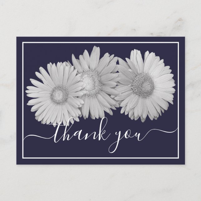 Gerbera Daisies Navy Background Thank You Postcard (Front)