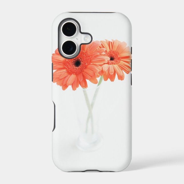 Gerbera Daisies, Orange (Back)