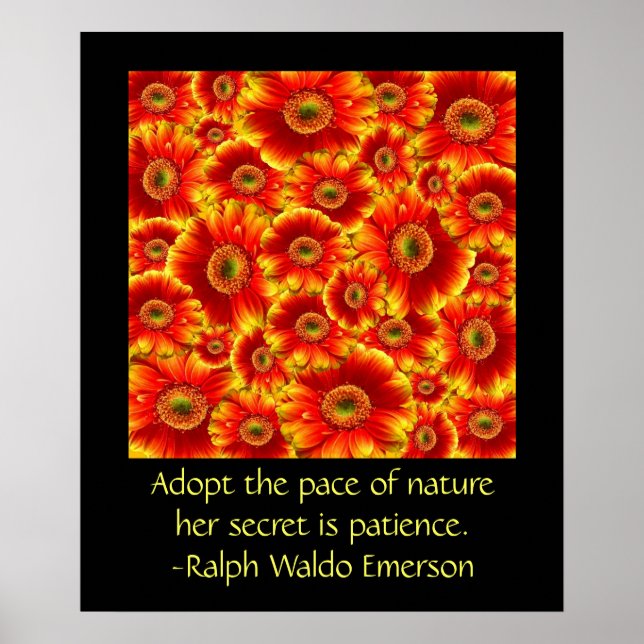 Gerbera Daisies with Quote Poster (Front)