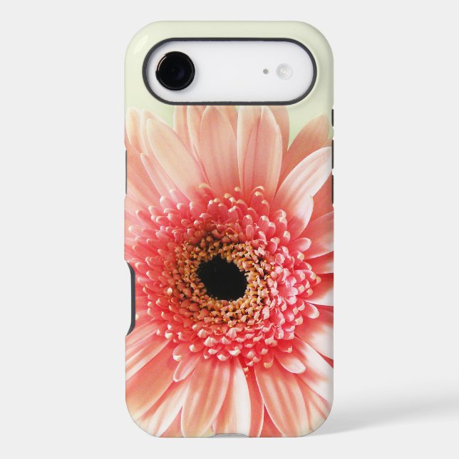 Gerbera Daisy (Back)