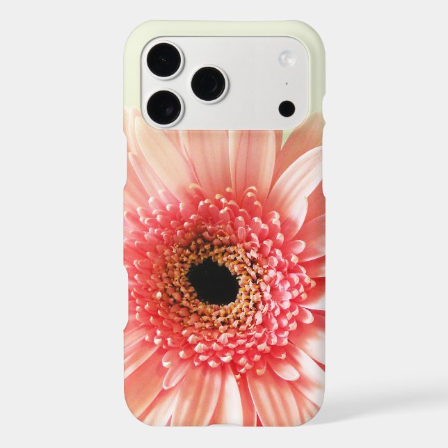Gerbera Daisy (Back)