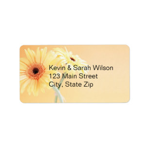 Gerbera Daisy Address Labels