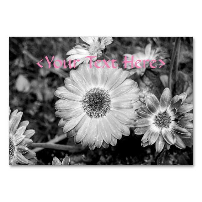 Gerbera Daisy Black & White Photograph Table Number (Front)