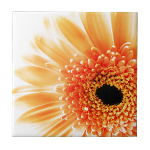 Gerbera Daisy Ceramic Tile