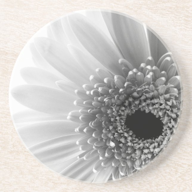 Gerbera Daisy Coaster (Front)