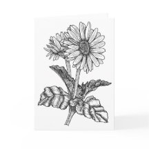 Gerbera Daisy Colour It Yourself Blank Greeting