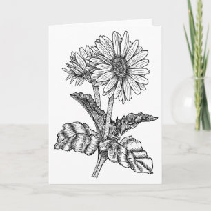 Gerbera Daisy Colour It Yourself Blank Greeting Card