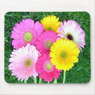 Gerbera Daisy Colours Mousepad