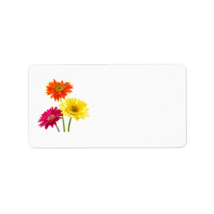 Gerbera Daisy Delight Label