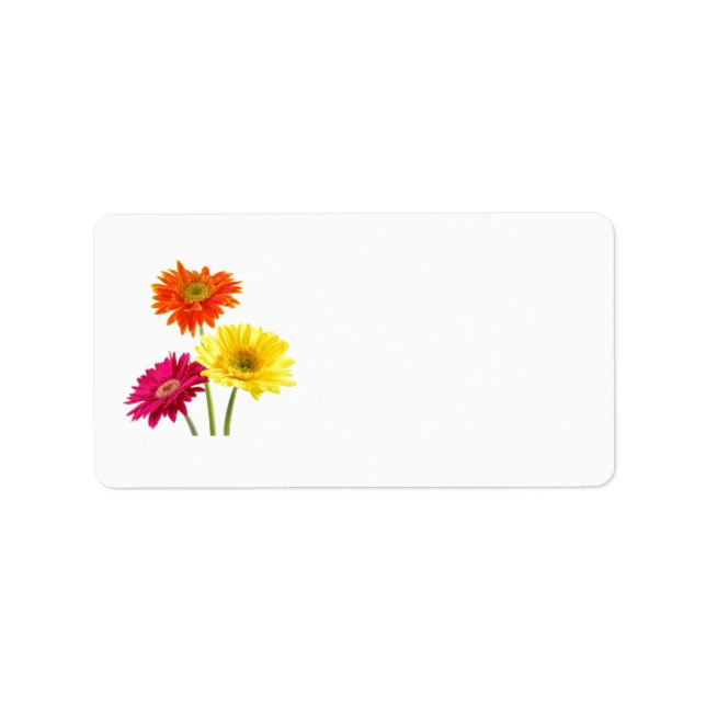 Gerbera Daisy Delight Label (Front)