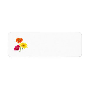 Gerbera Daisy Delight Return Address Label