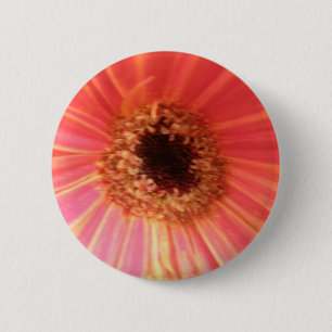 Gerbera Daisy Flower Button