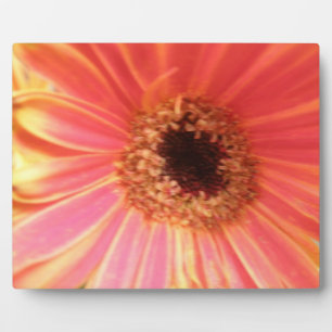 Gerbera Daisy Flower Plaque