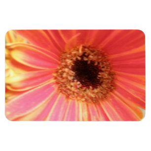 Gerbera Daisy Flower Premium Magnet