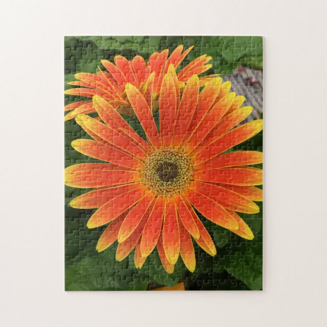 Gerbera Daisy Flower Puzzle (Vertical)
