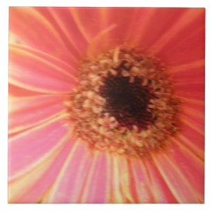 Gerbera Daisy Flower Tile
