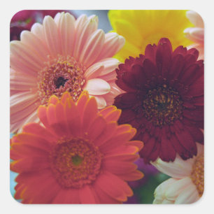 Gerbera Daisy Flowers Art Sticker Decals