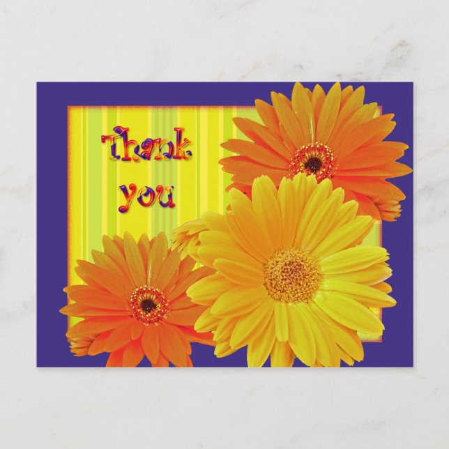 Gerbera Daisy (Gerbera hybrida) - Yellow Postcard (Front)