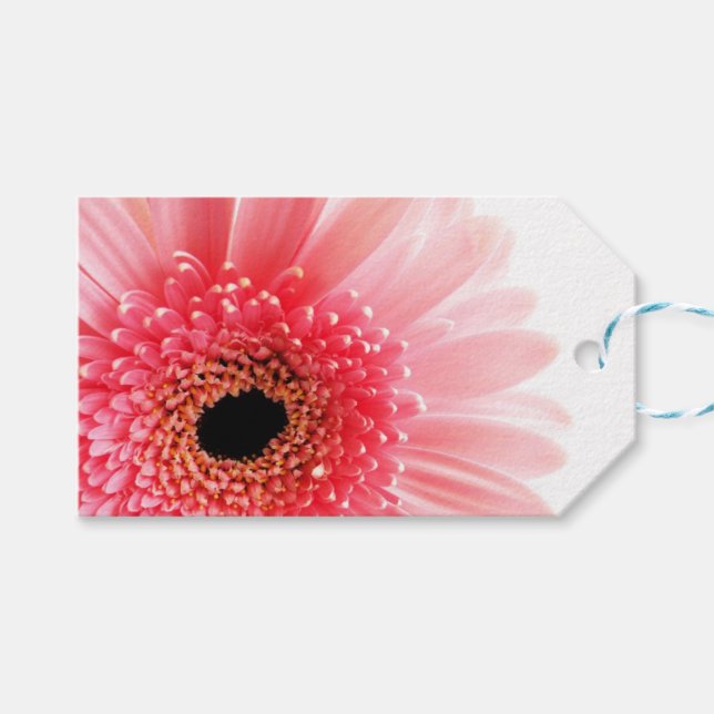 Gerbera Daisy  Gift Tags (Front (Horizontal))