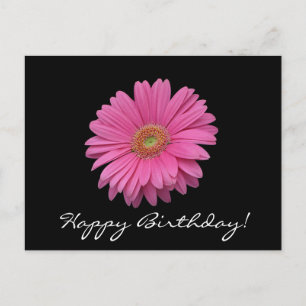 Gerbera Daisy Happy Birthday Postcard