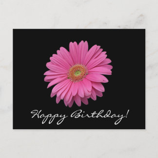 Gerbera Daisy Happy Birthday Postcard