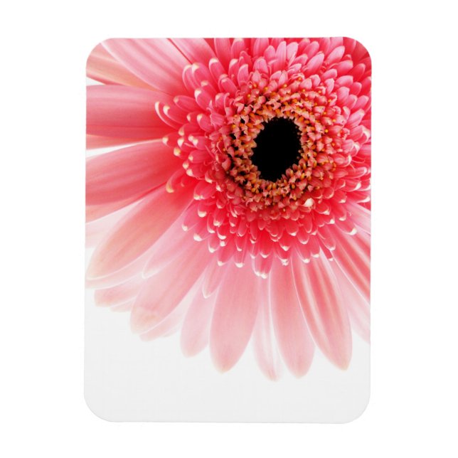 Gerbera daisy magnet (Vertical)