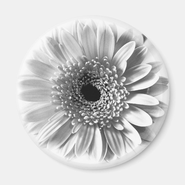 Gerbera Daisy Magnet (Front)