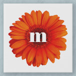 Gerbera Daisy Monogram Initial Faux Canvas Print<br><div class="desc">Burnt orange gerbera daisy flower with a modern lower case typography monogram initial design. Change the initial to personalise.</div>