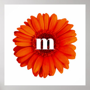 Gerbera Daisy Monogram Initial Poster