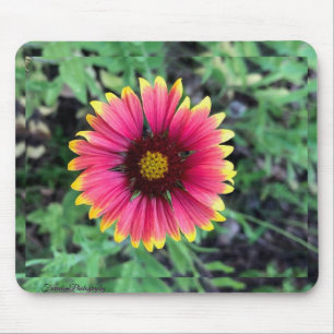 Gerbera Daisy Mouse Pad