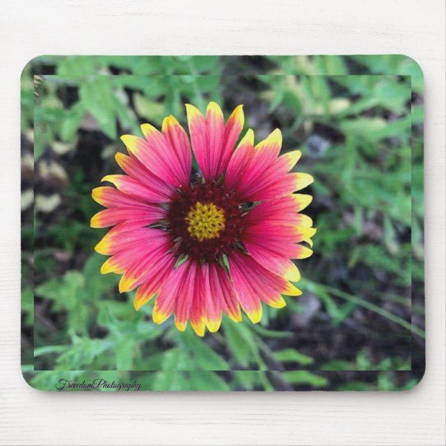 Gerbera Daisy Mouse Pad (Front)