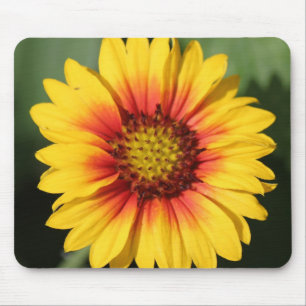 Gerbera Daisy Mouse Pad