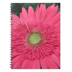 Gerbera Daisy Notebook