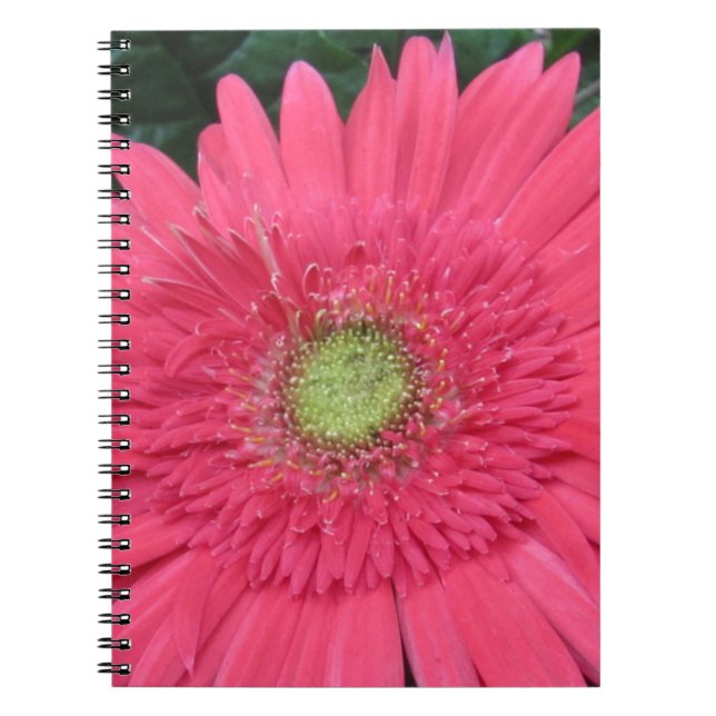 Gerbera Daisy Notebook (Front)