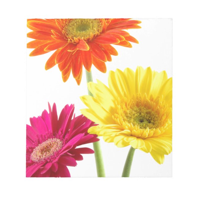 Gerbera Daisy Notepad (Front)