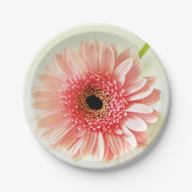 Gerbera Daisy Paper Plate (Front)