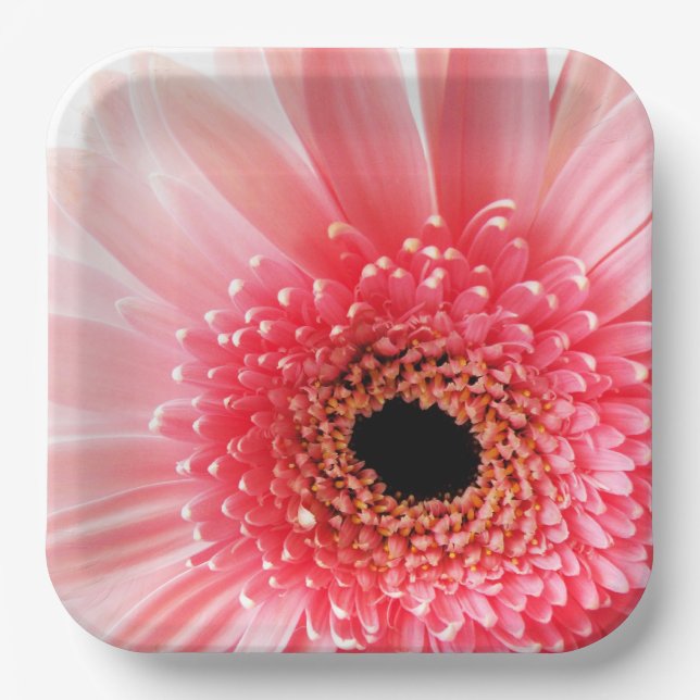 Gerbera Daisy   Paper Plate (Front)