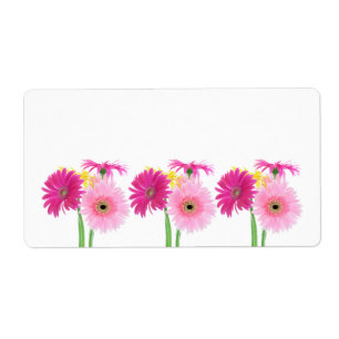 Gerbera Daisy Piink Flowers
