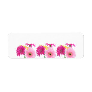 Gerbera Daisy Piink Flowers Return Address Label