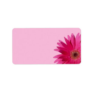 Gerbera Daisy Pink Background Wedding Blank Label