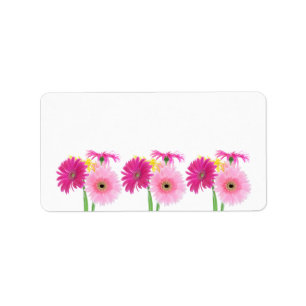 Gerbera Daisy Pink Flowers Label