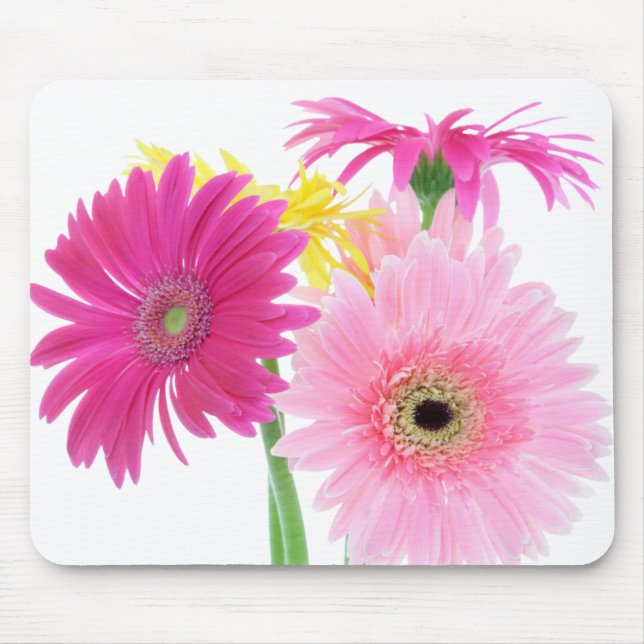 Gerbera Daisy Pink Flowers Mouse Pad (Front)