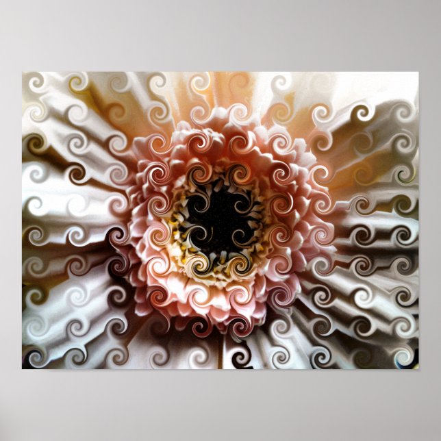 GERBERA DAISY POSTER (Front)