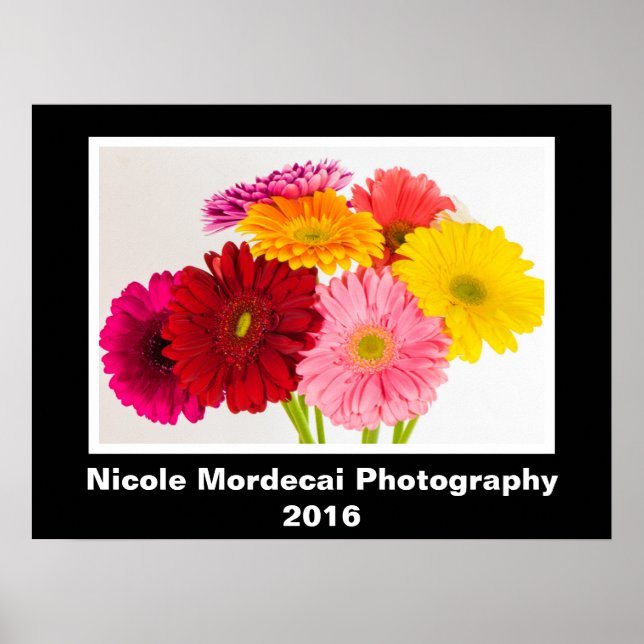 Gerbera Daisy Poster (Front)