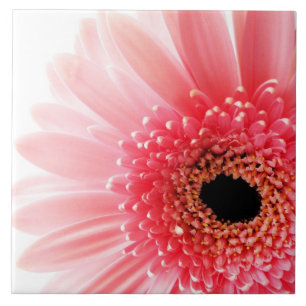 Gerbera Daisy Poster Ceramic Tile