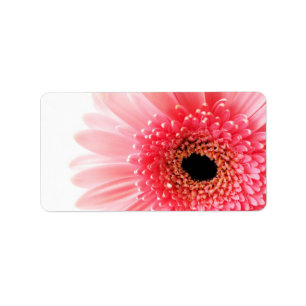 Gerbera Daisy Poster Label