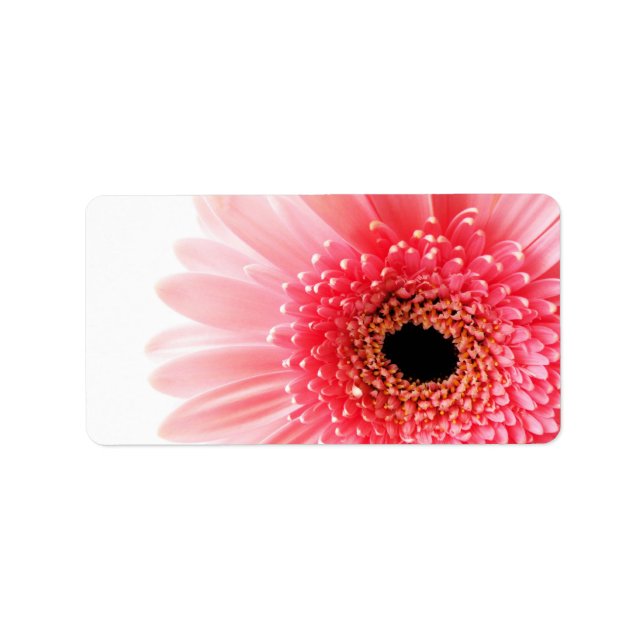 Gerbera Daisy Poster Label (Front)