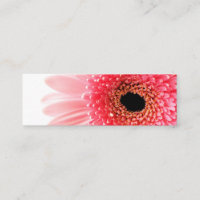 Gerbera Daisy Poster