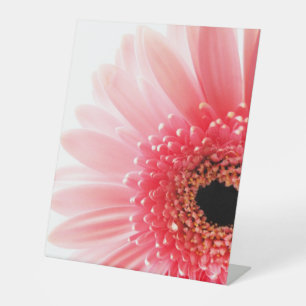 Gerbera Daisy Poster Pedestal Sign